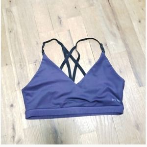Ar-33 purple sports bra